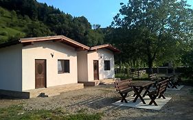 Casutele Andreica